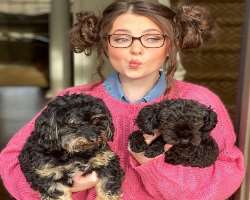 The actress has adopted two cute dogs. She loves to play with them whenever she is in her home.
